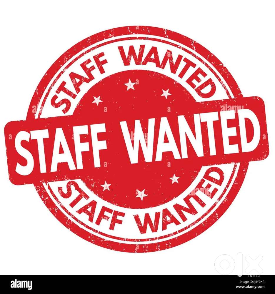 Wanted sales executives male and Female electric auto showroom