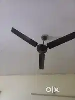 Ceiling  fan one is Orient.fan other is polar