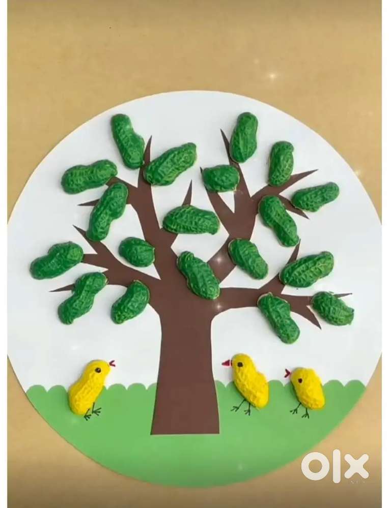 Room mate requirement boys only