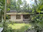 Aluva paravur road karumalloor 13cent old house for sale