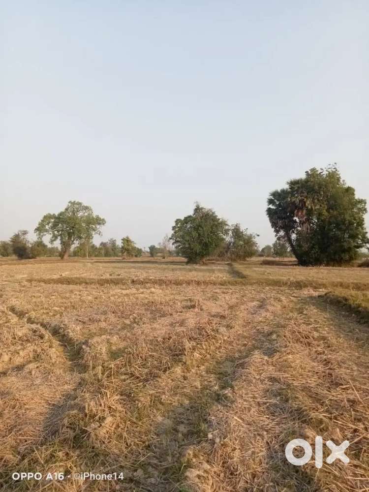PRAYAGRAJ uttar Pradesh