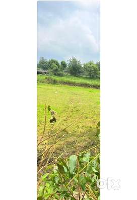 Dehradun jagatpur tilwari 1943 squar foor area