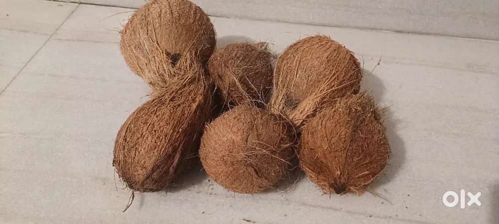 Coconut First, on the go