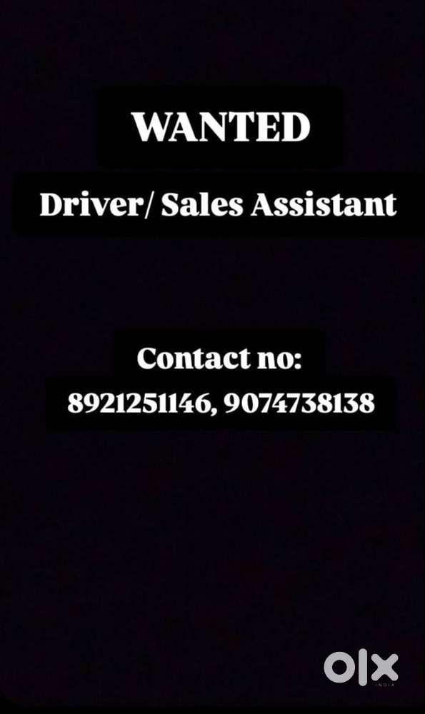 Driver/Sales Assistant