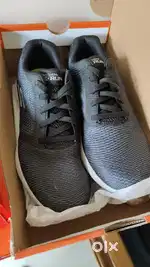 Never worn shoes - Sketchers Euro 40