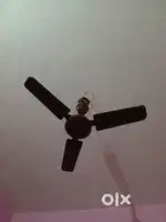 Celling Fans Company RR fans