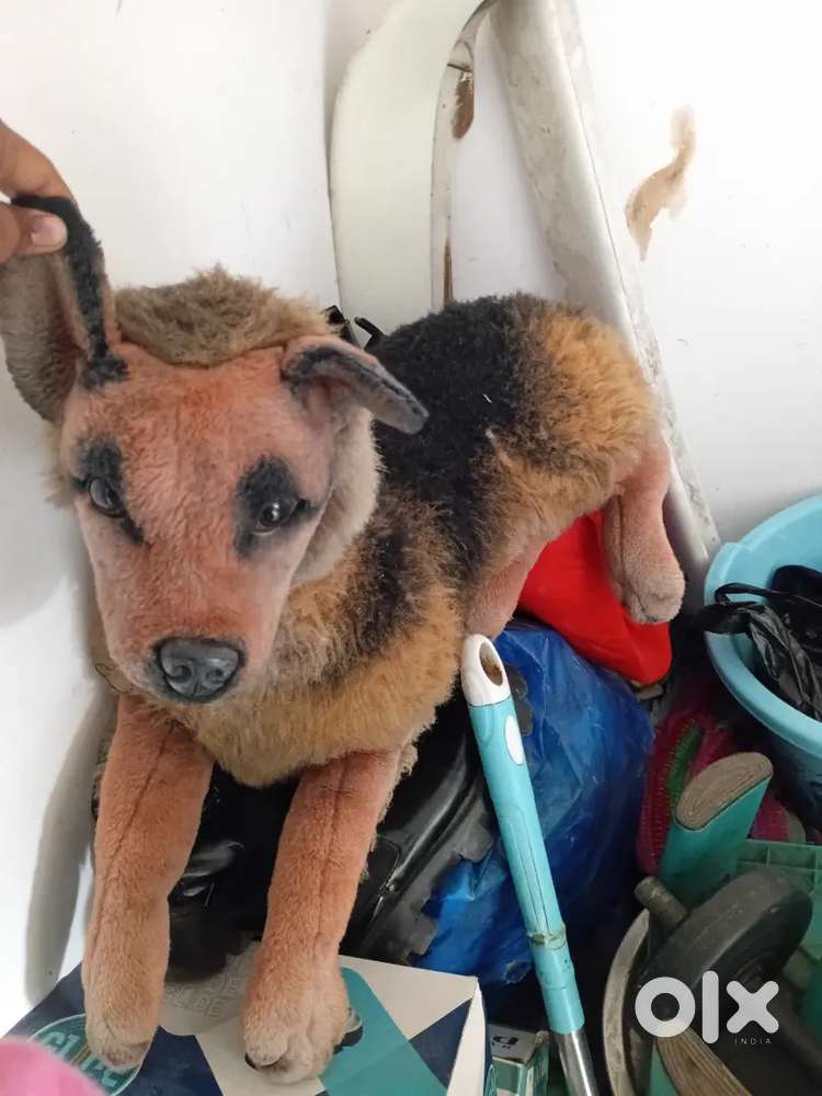 Dogie kids Paris 500