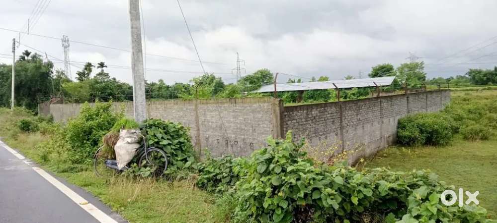 24 katha land for sale at ambari near Delhi World public school