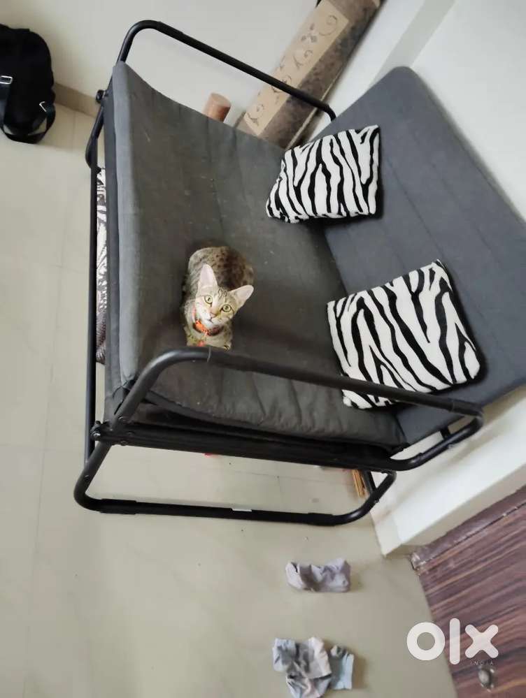 TV unit for hall & sofa cum bed