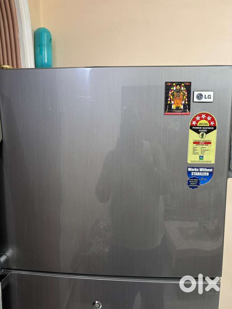 LG Double Door 350 Liter 5 Star