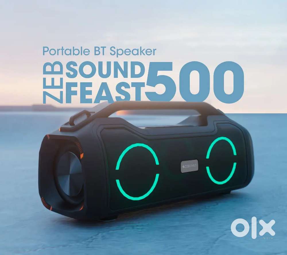 Zebronics feast 500