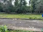 8, 10 cent Premium house plot near Karukutty Forane Church