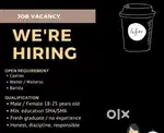 Urgent good looking female manager,receptionist and waiter required