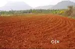4 ಎಕರೆ ಕೃಷಿ ಭೂಮಿ