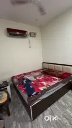 Bachelors r allowed