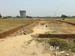 Inayatpur-jhajhar marg, Near Jewar international airport and flim city