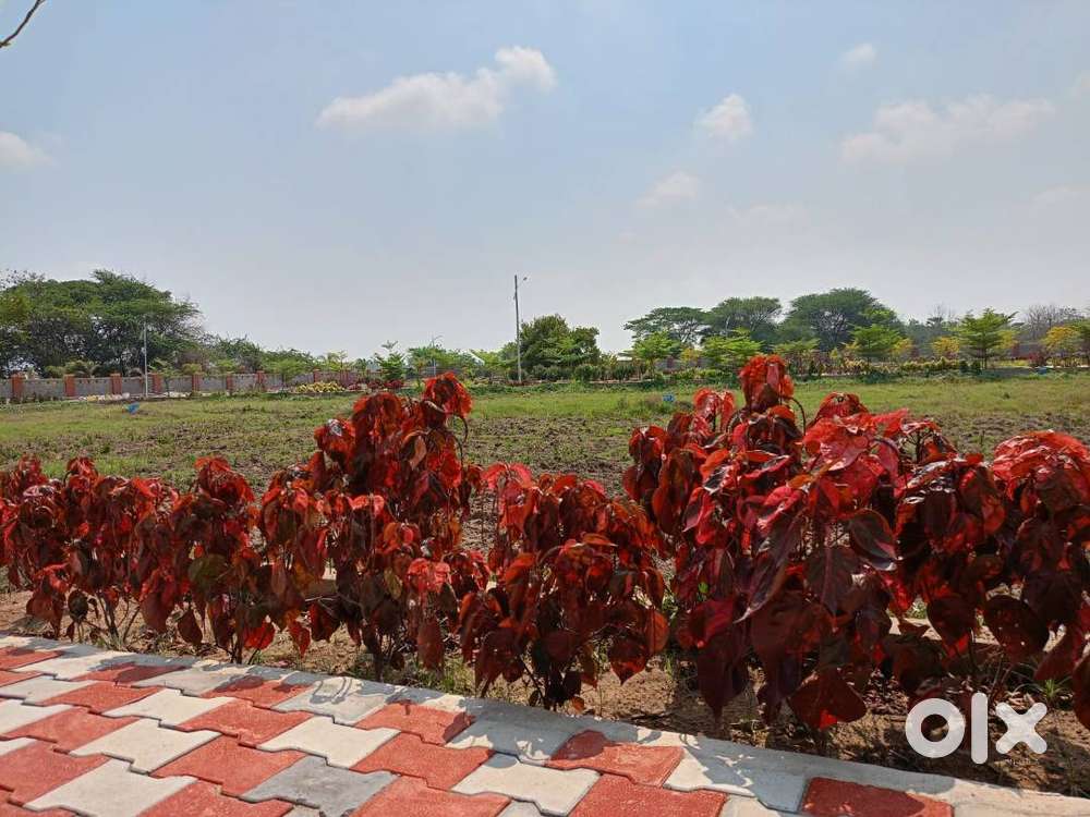 Your Dream Home Plots : ORR : Vizianagaram