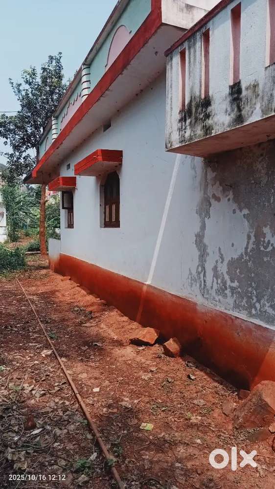 House for rent