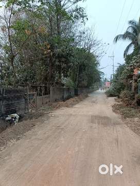 1/2 Kotha | Miyadi Land | Ahomgaon | Boragaon| Jalukbari