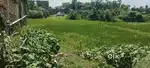 4 डिसमिल जमीन है रोड पे पिपरहिया बजार नौतनवा में है जमीन