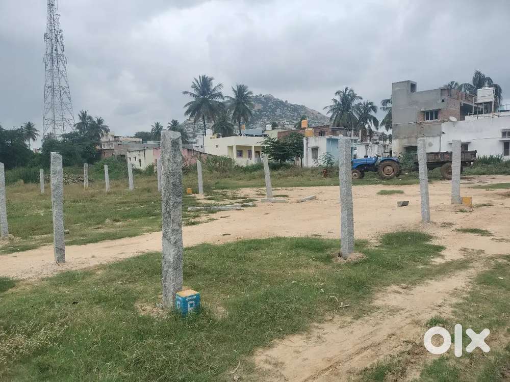 East facing property