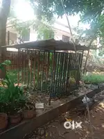 Cage for dogs