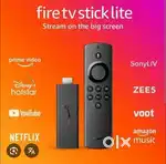 Amazon fire stick brand new 2 day use only
