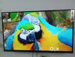 LIMITED OFFER 43 INCH SMART ANDROID LEDTV WITH WARRANTY 2 YEAR