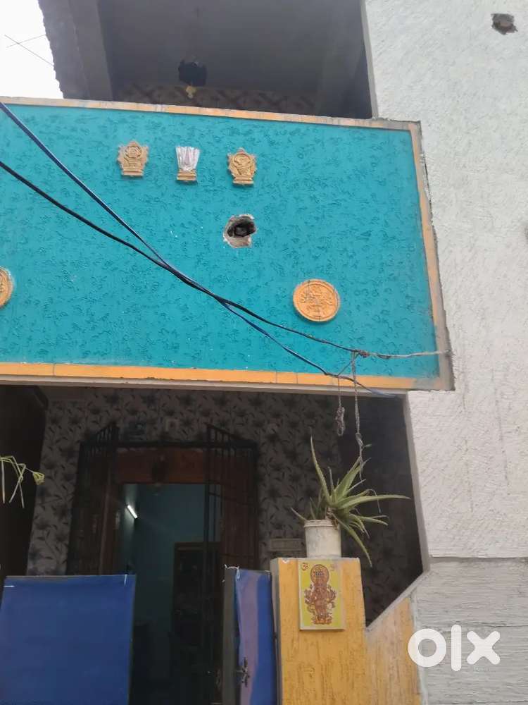 Bachelor boys or girls but decent guys