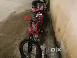 Sell 1 year old