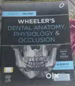 Wheelers dental anatomy