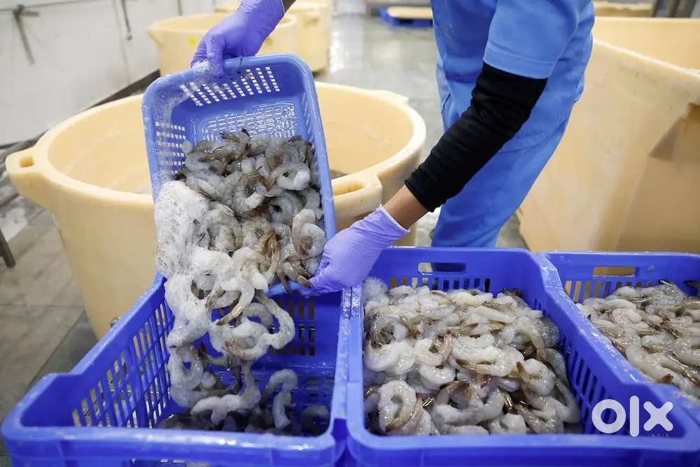 Company Job Vacancy in Odisha Male and Female Candidate Required