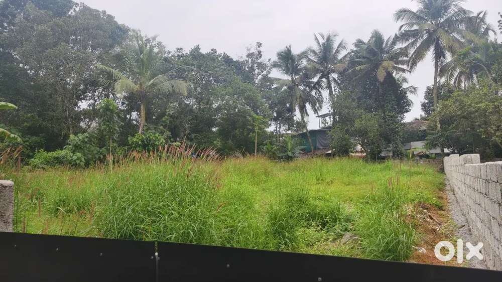 Plot for sale Puthencruz near Kakkand 20.5 cent