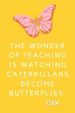 Tuition teacher available