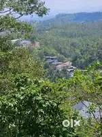 premium plot for sale at anachal munnar