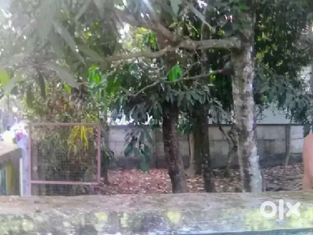 Gated 5 cent plot 400 meters away from highway. Opp SNDP H S Nadakkav