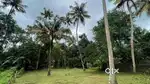 8.5 Cent PLOT for sale within 2 Kms from Amballur Jn.)