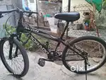 Avon doarado cycle for selling