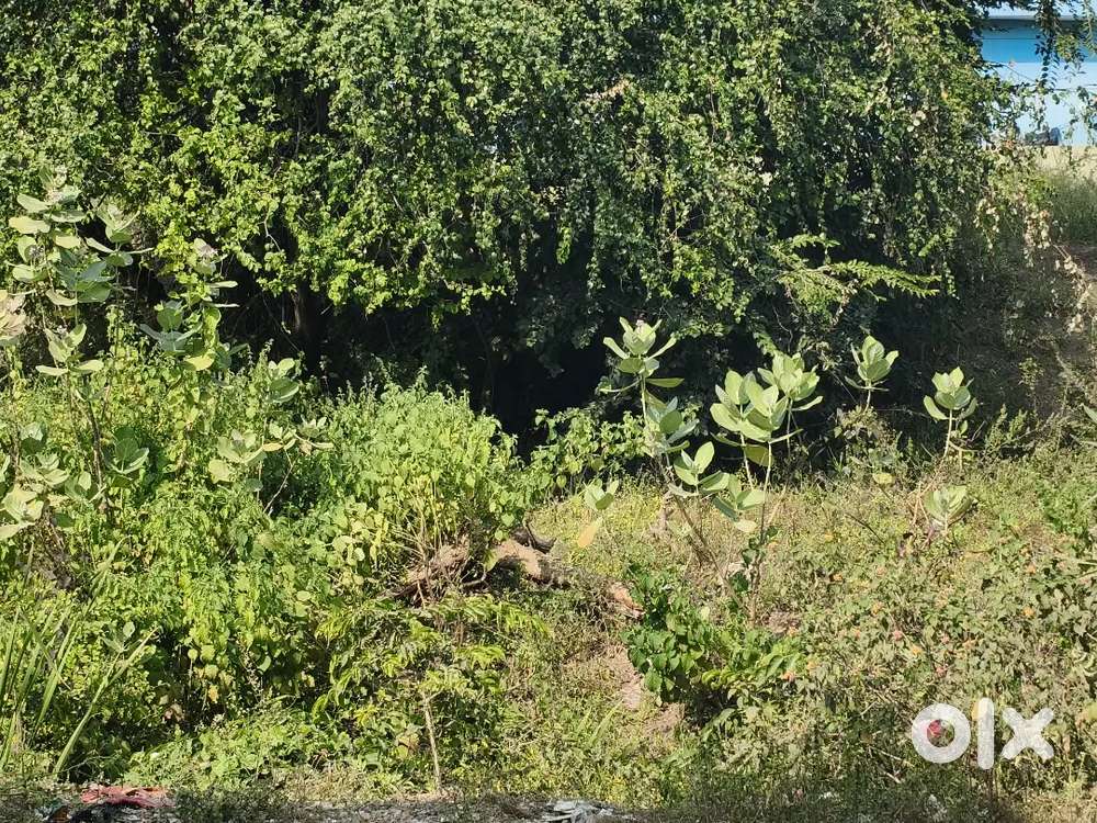 14 guntalu single bit single owner