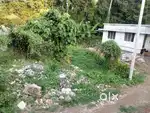 Aluva kadungalloor kaitikara 4 cent 10 lakh total