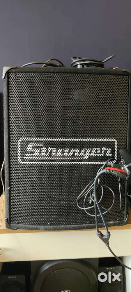 Stranger Speaker with amplifier(PM102)
