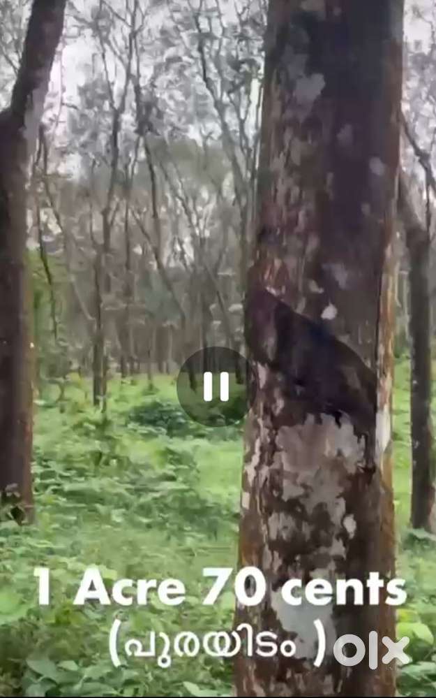 Rubber estate for sale