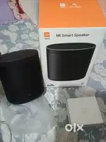 Mi Smart Speaker ( Ok Google )