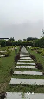 Gardener Required -Farm House New Chandigarh