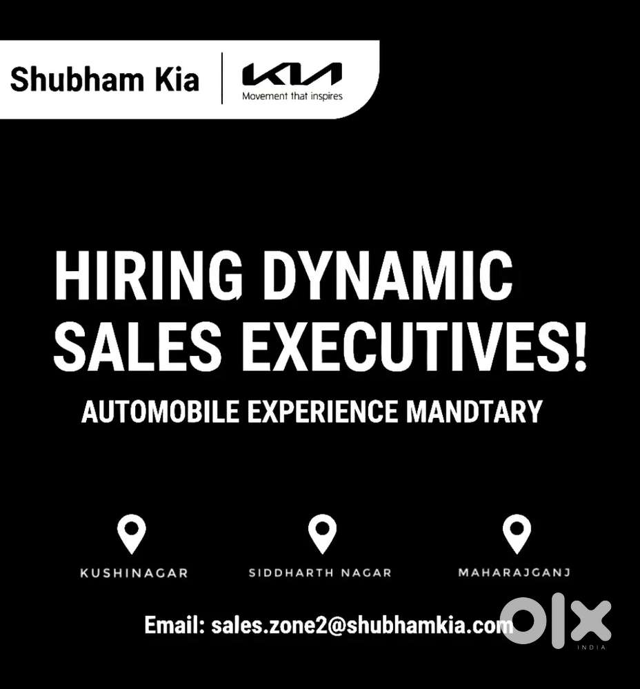 Sales executive