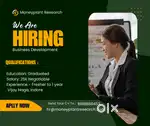 Business Development Executive
