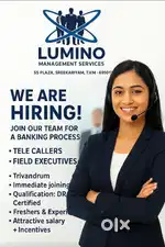 Field Executive