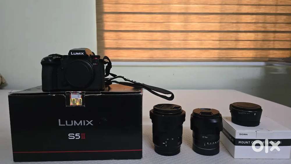 Panasonic Lumix S5 II Mirrorless Camera