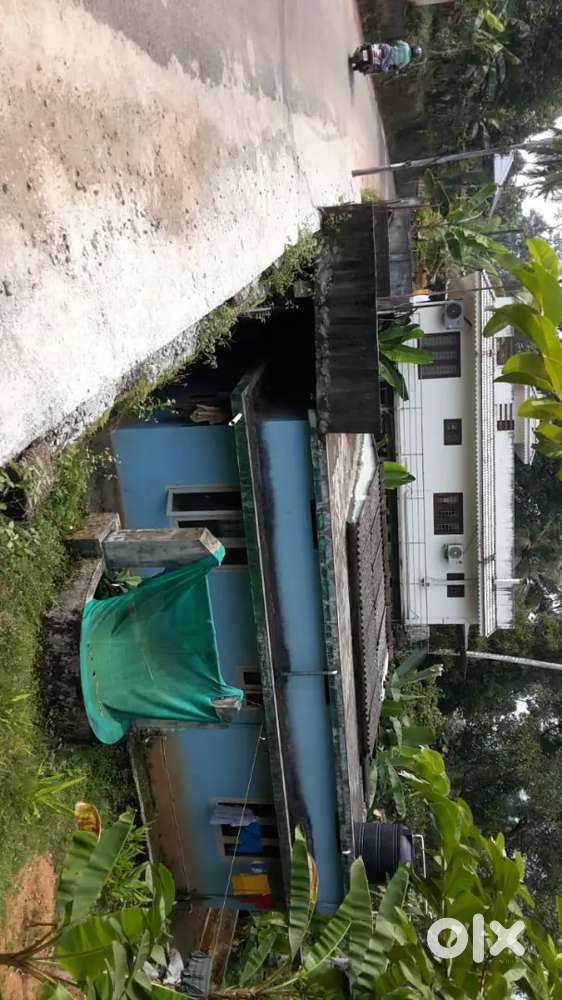 25 cent സ്ഥലവും വീടും വില്പനക്ക്