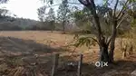 Barathmatha  degree college